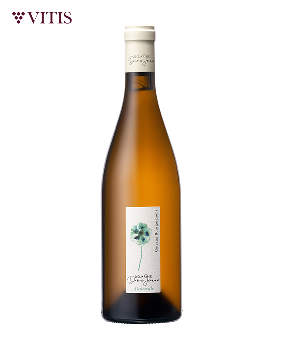 도멘 담 잔느 알케밀르